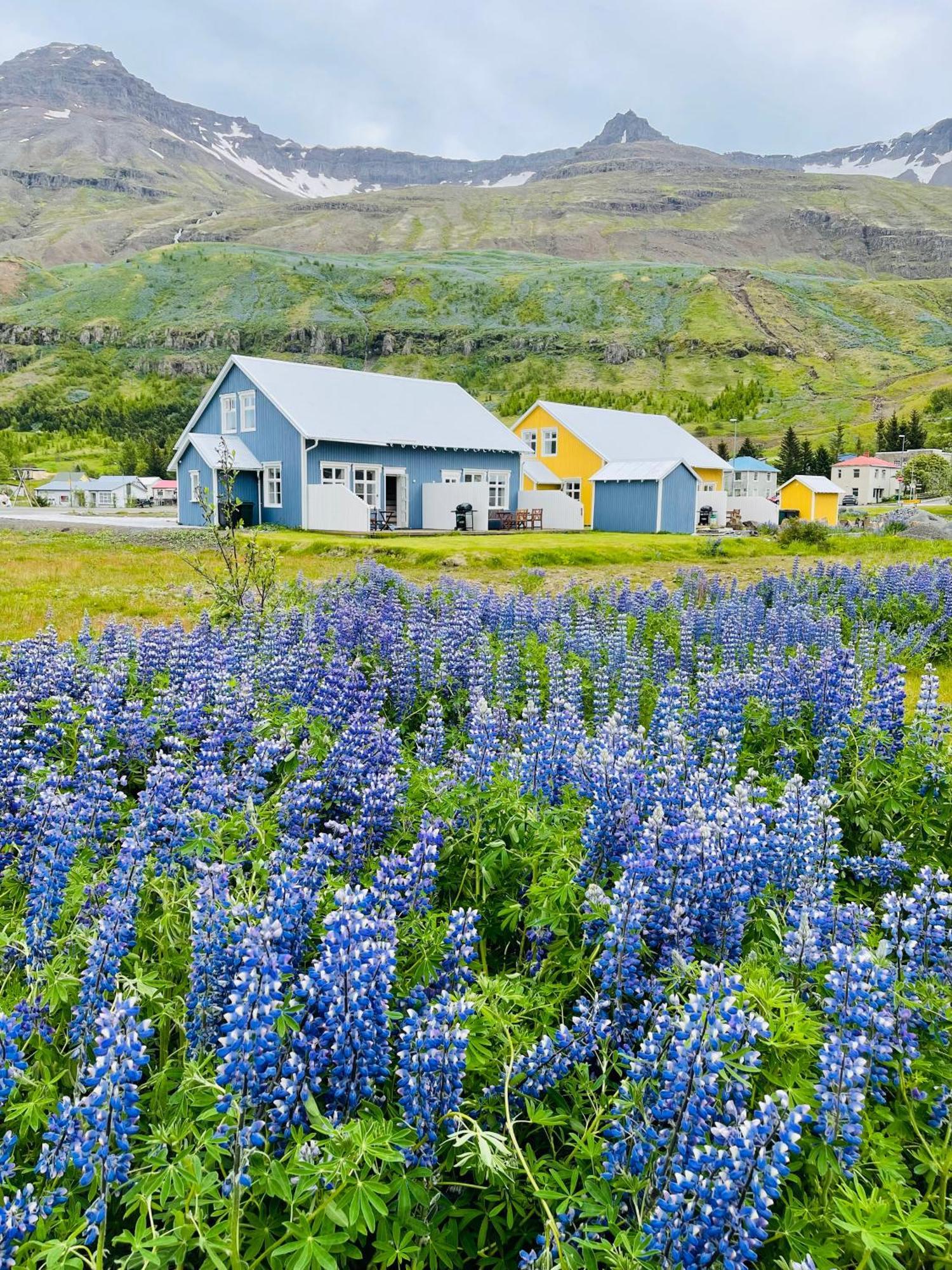 Lonsleira Apartments Seyðisfjörður Bagian luar foto